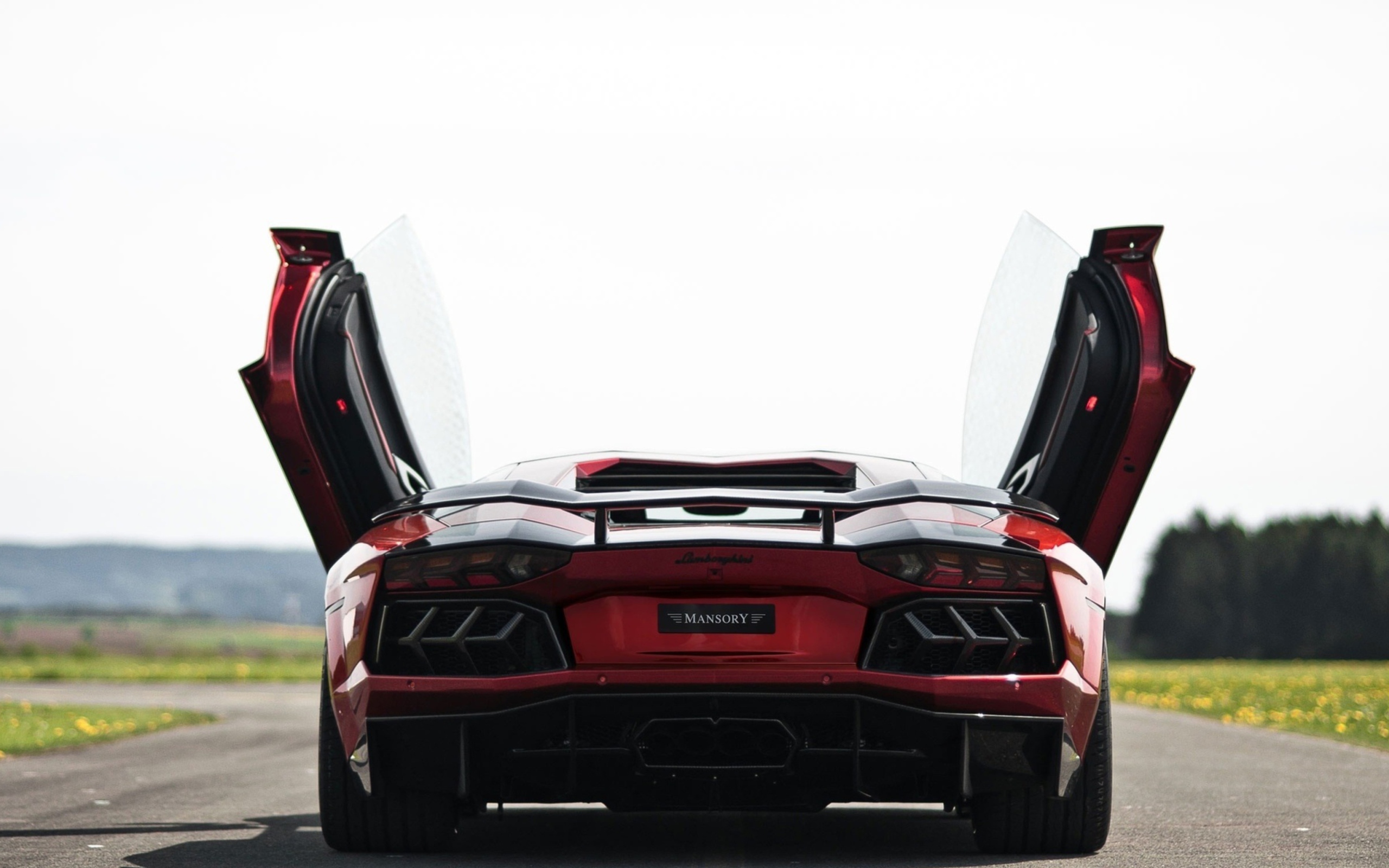 Das Lamborghini Aventador Wallpaper 2560x1600
