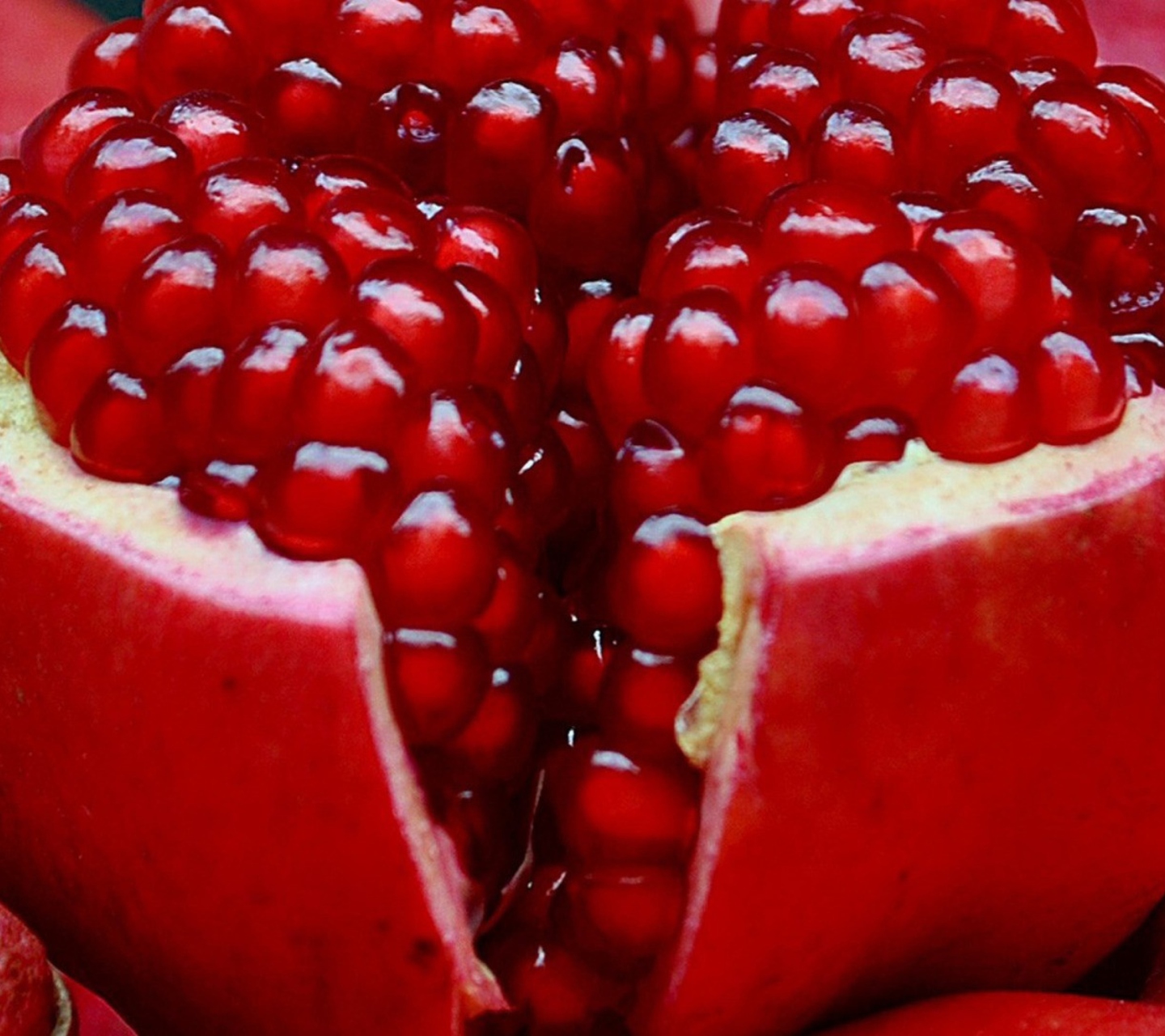 Das Pomegranate Wallpaper 1440x1280