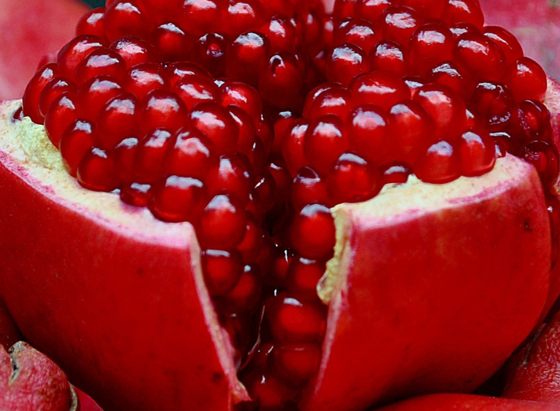 Fondo de pantalla Pomegranate 1920x1408