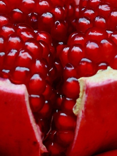 Pomegranate wallpaper 240x320