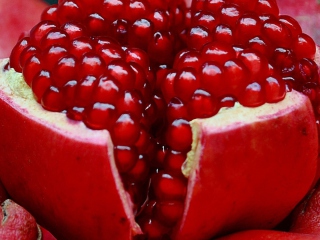 Das Pomegranate Wallpaper 320x240