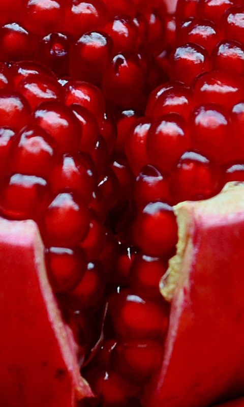 Pomegranate screenshot #1 480x800