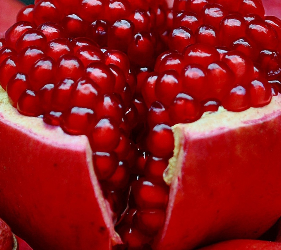 Pomegranate wallpaper 960x854