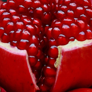 Pomegranate Wallpaper for Samsung B159 Hero Plus