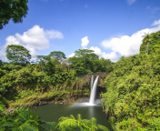 Sfondi Waimoku Hawaii Waterfall 176x144