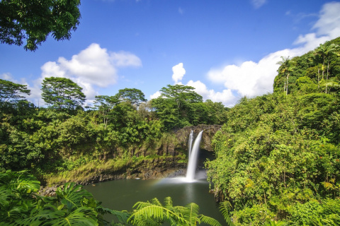 Screenshot №1 pro téma Waimoku Hawaii Waterfall 480x320