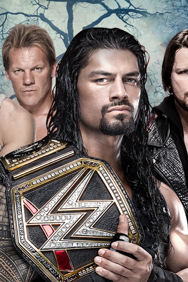 Обои WWE Payback 640x960