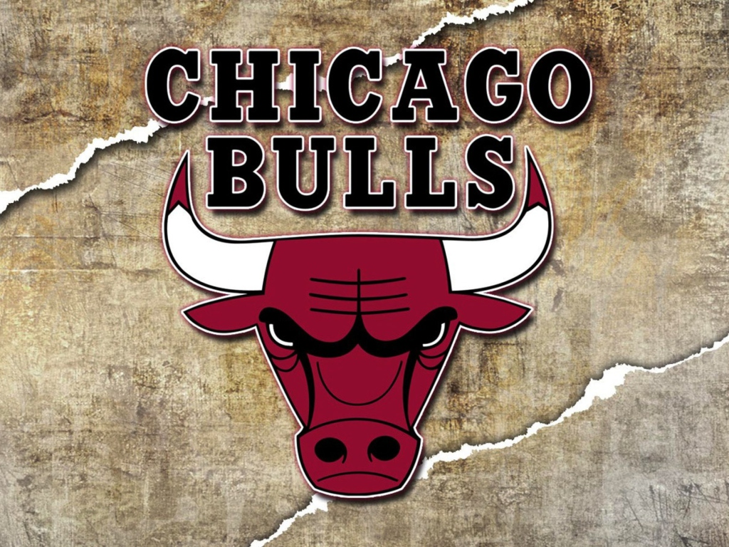 Das Chicago Bulls Wallpaper 1024x768