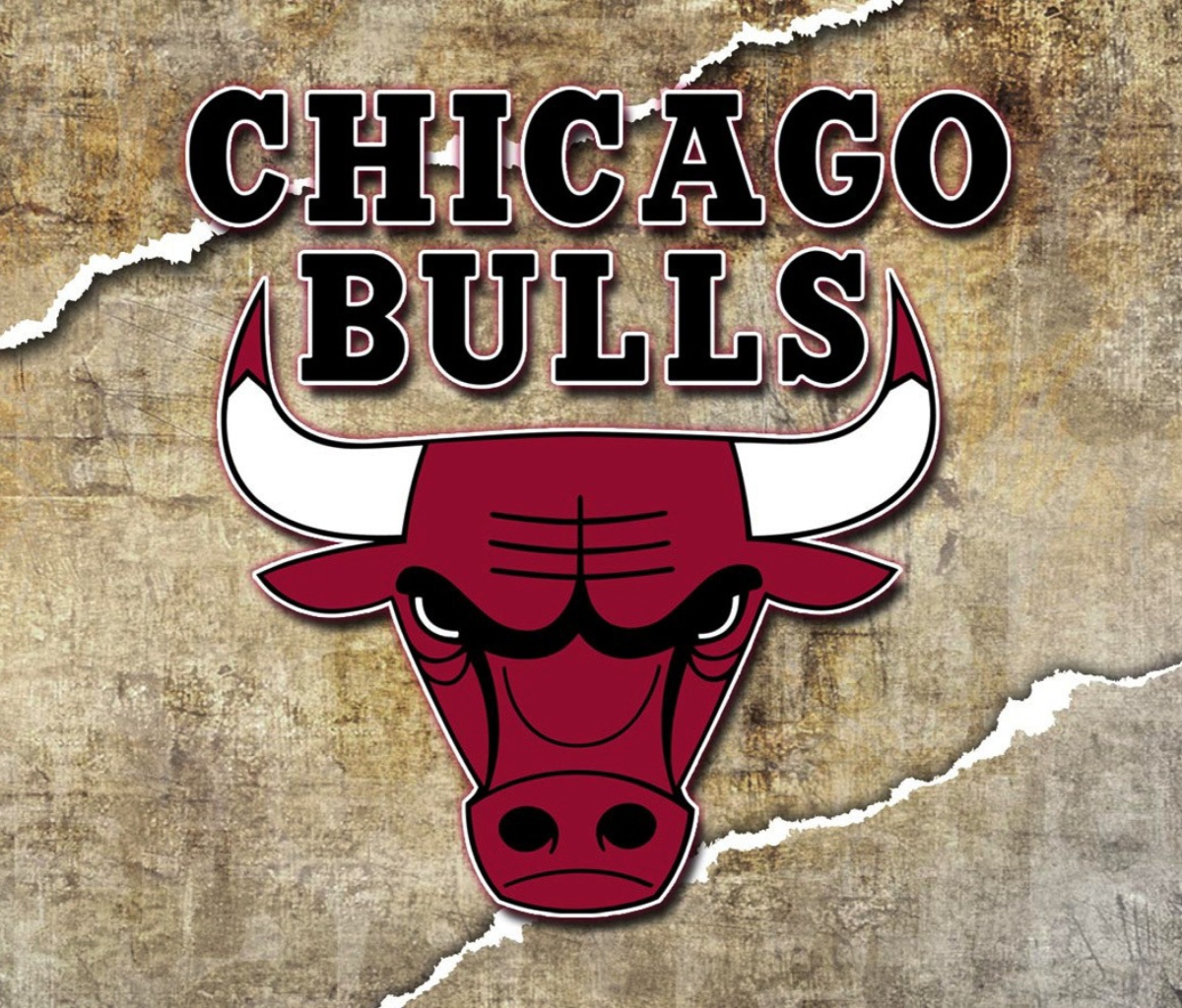 Обои Chicago Bulls 1200x1024