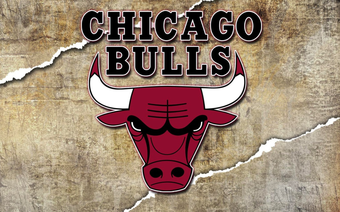 Das Chicago Bulls Wallpaper 1440x900