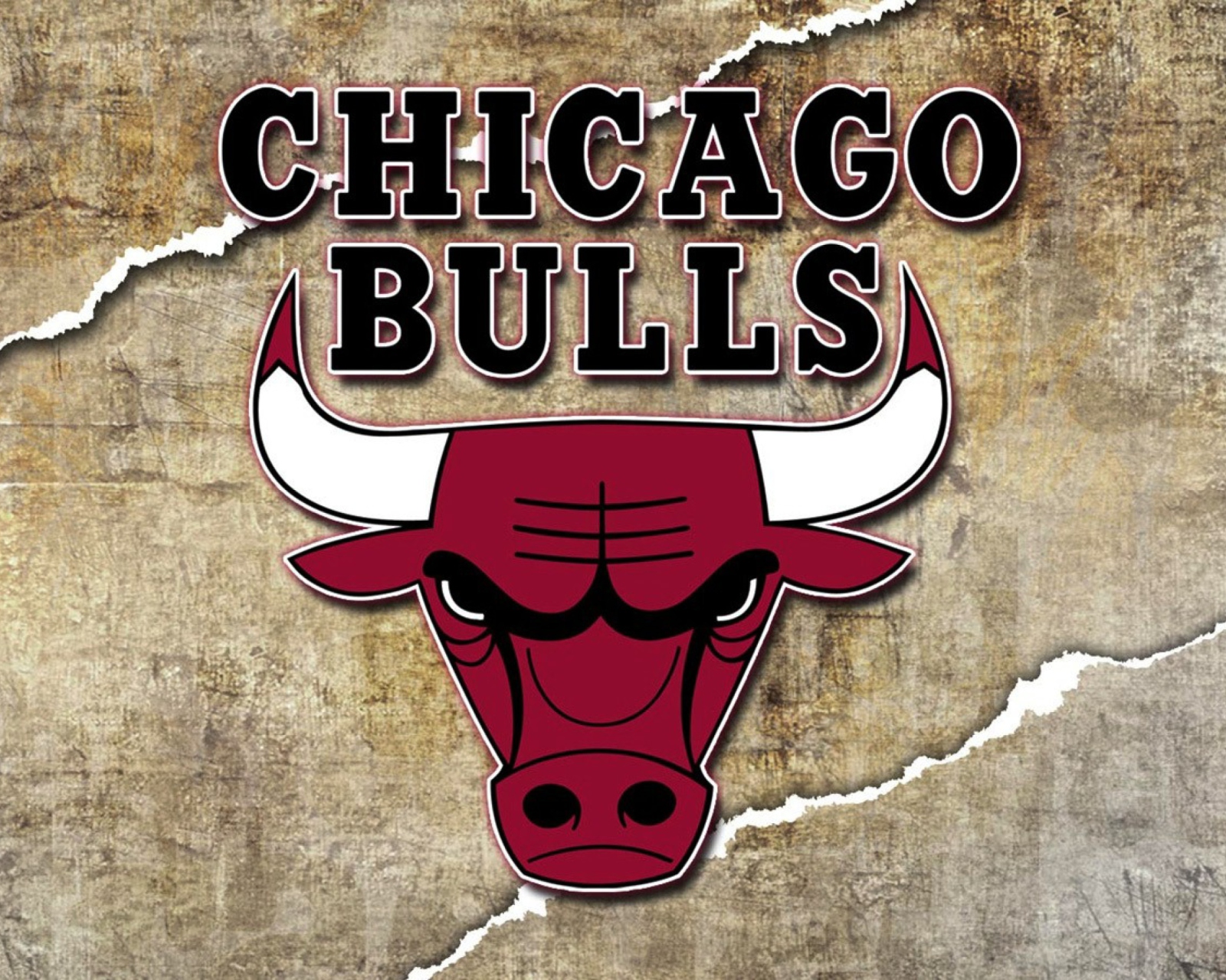Fondo de pantalla Chicago Bulls 1600x1280