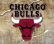 Das Chicago Bulls Wallpaper 176x144