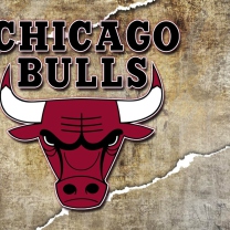 Das Chicago Bulls Wallpaper 208x208