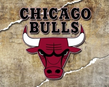 Das Chicago Bulls Wallpaper 220x176