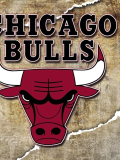 Das Chicago Bulls Wallpaper 240x320