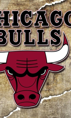 Das Chicago Bulls Wallpaper 240x400