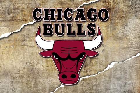 Screenshot №1 pro téma Chicago Bulls 480x320