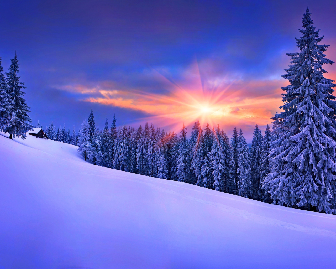 Winter Sunshine wallpaper 1280x1024