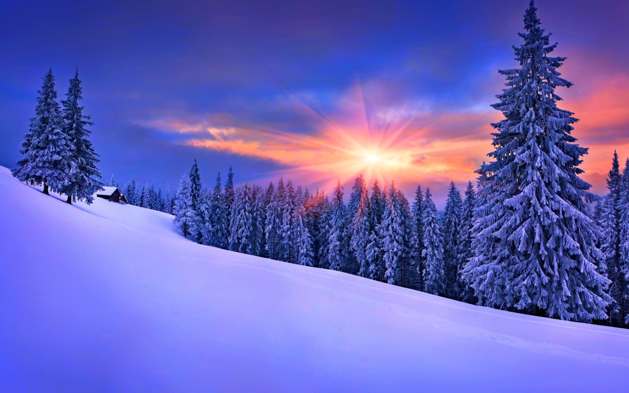 Winter Sunshine wallpaper 1280x800