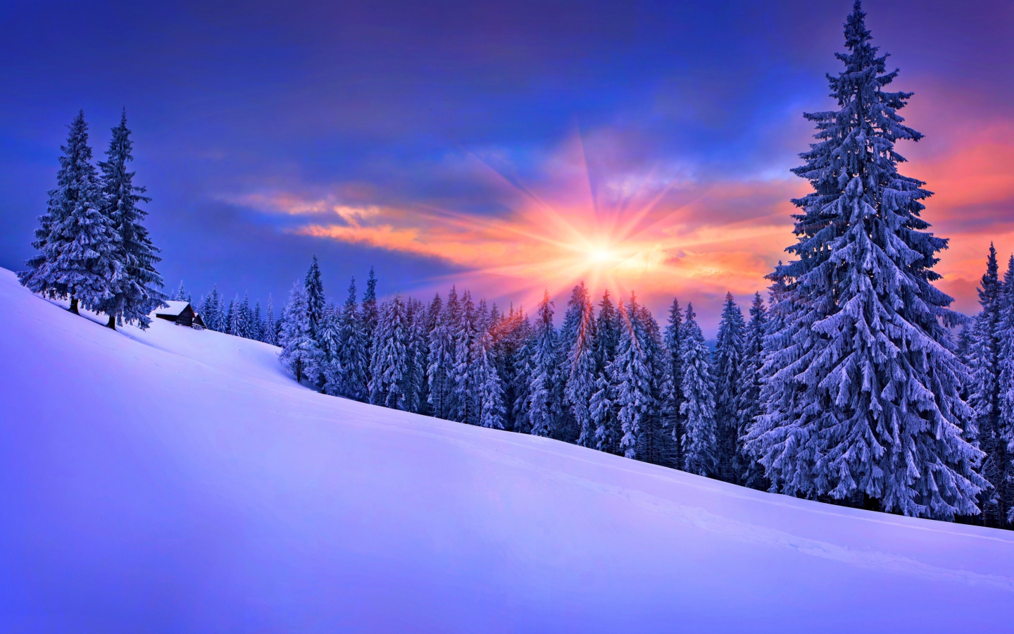 Das Winter Sunshine Wallpaper 1440x900