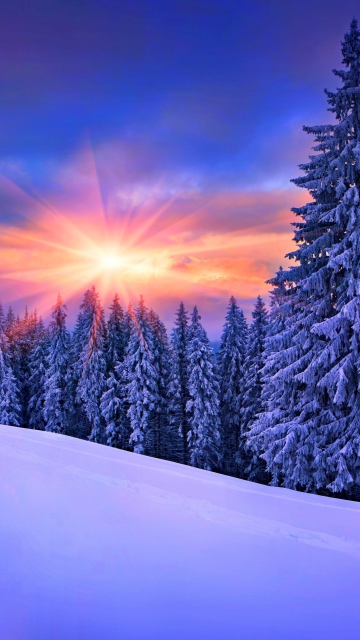 Das Winter Sunshine Wallpaper 360x640