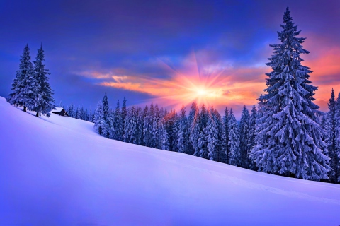 Sfondi Winter Sunshine 480x320