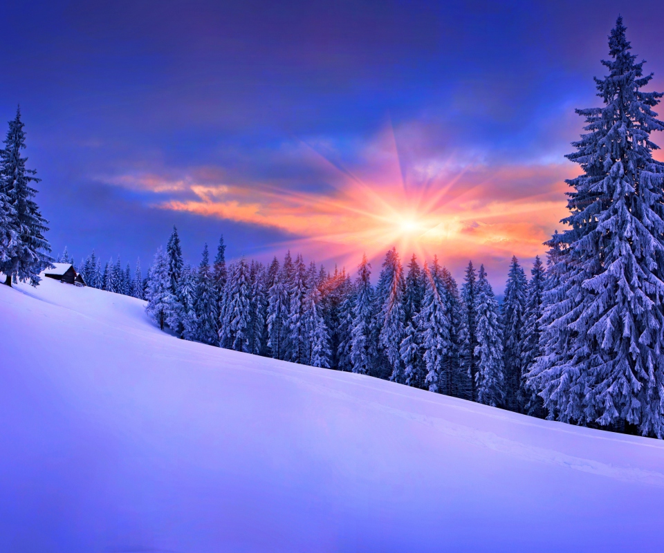 Das Winter Sunshine Wallpaper 960x800