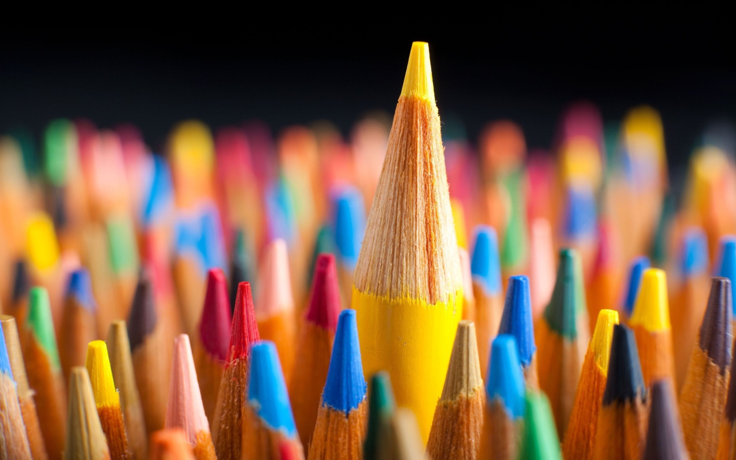 Das Colorful Pencils Wallpaper 1440x900