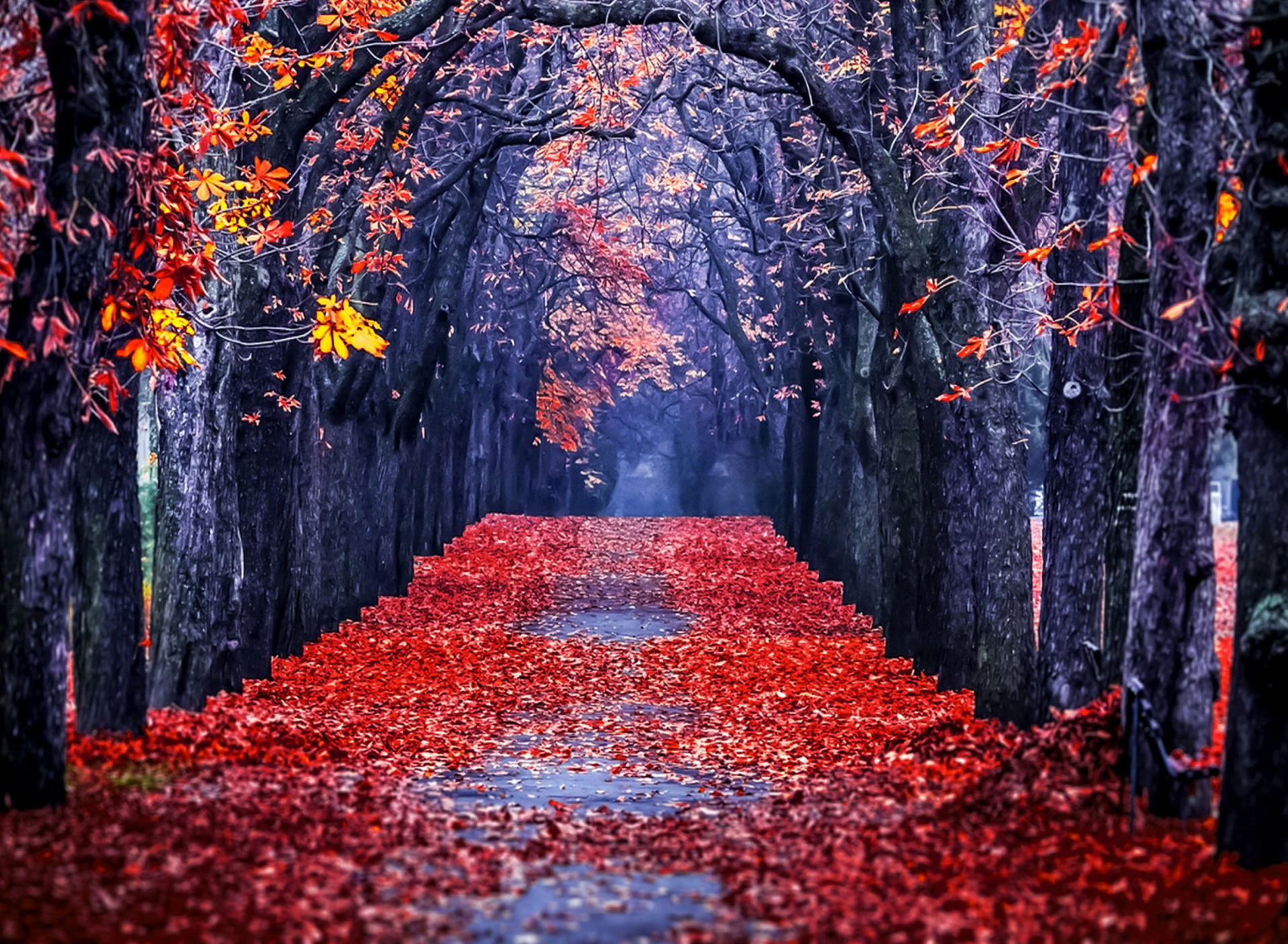 Autumn Park wallpaper 1920x1408