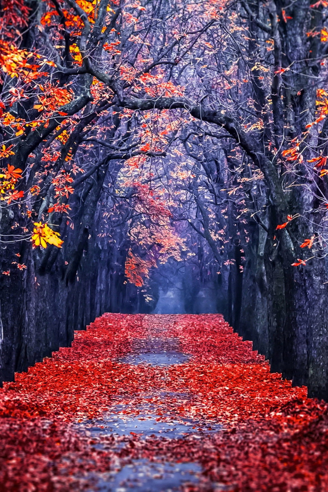 Autumn Park screenshot #1 640x960