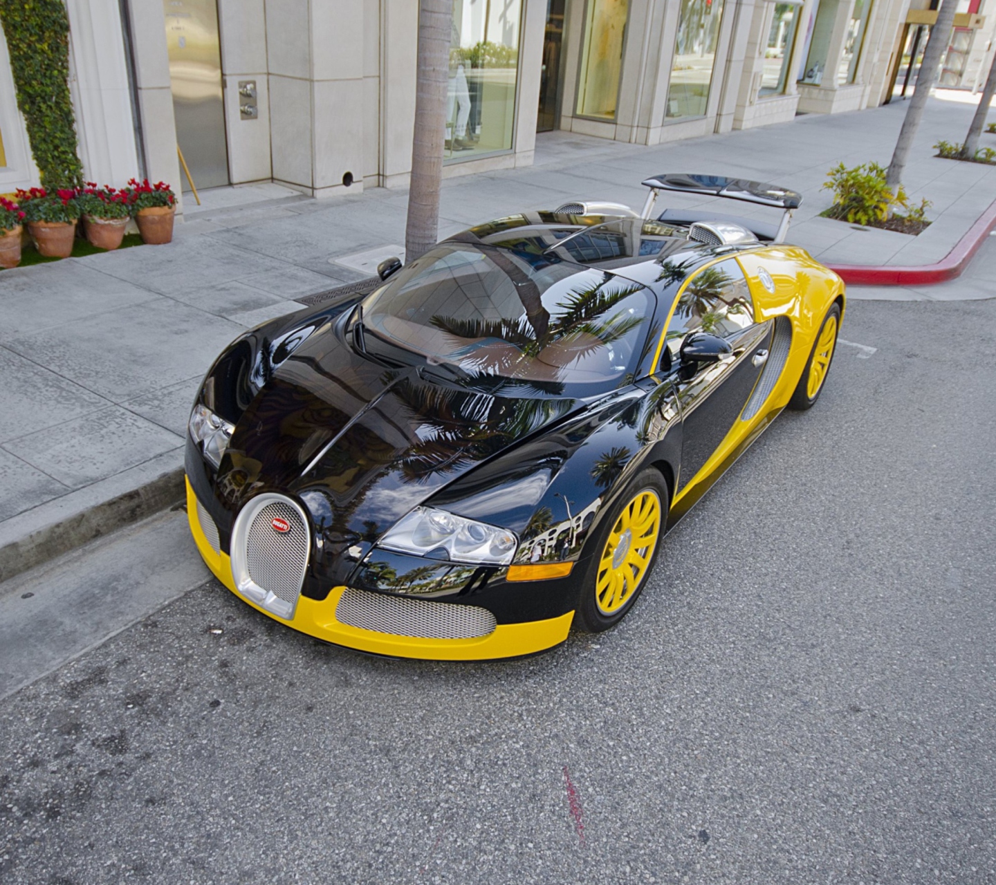 Sfondi Bugatti Veyron 1440x1280