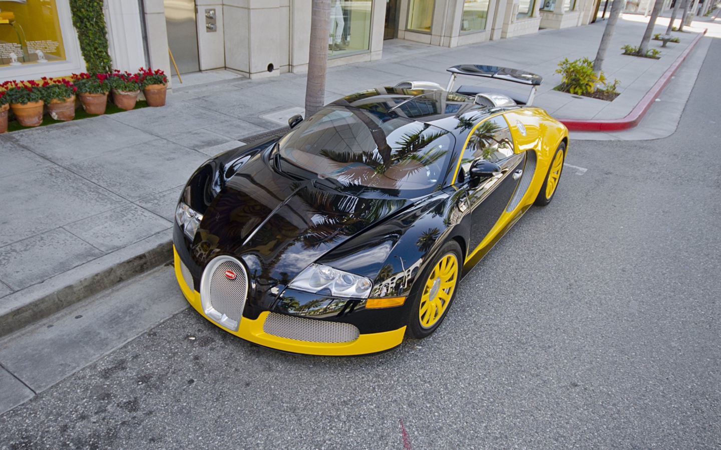 Sfondi Bugatti Veyron 1440x900