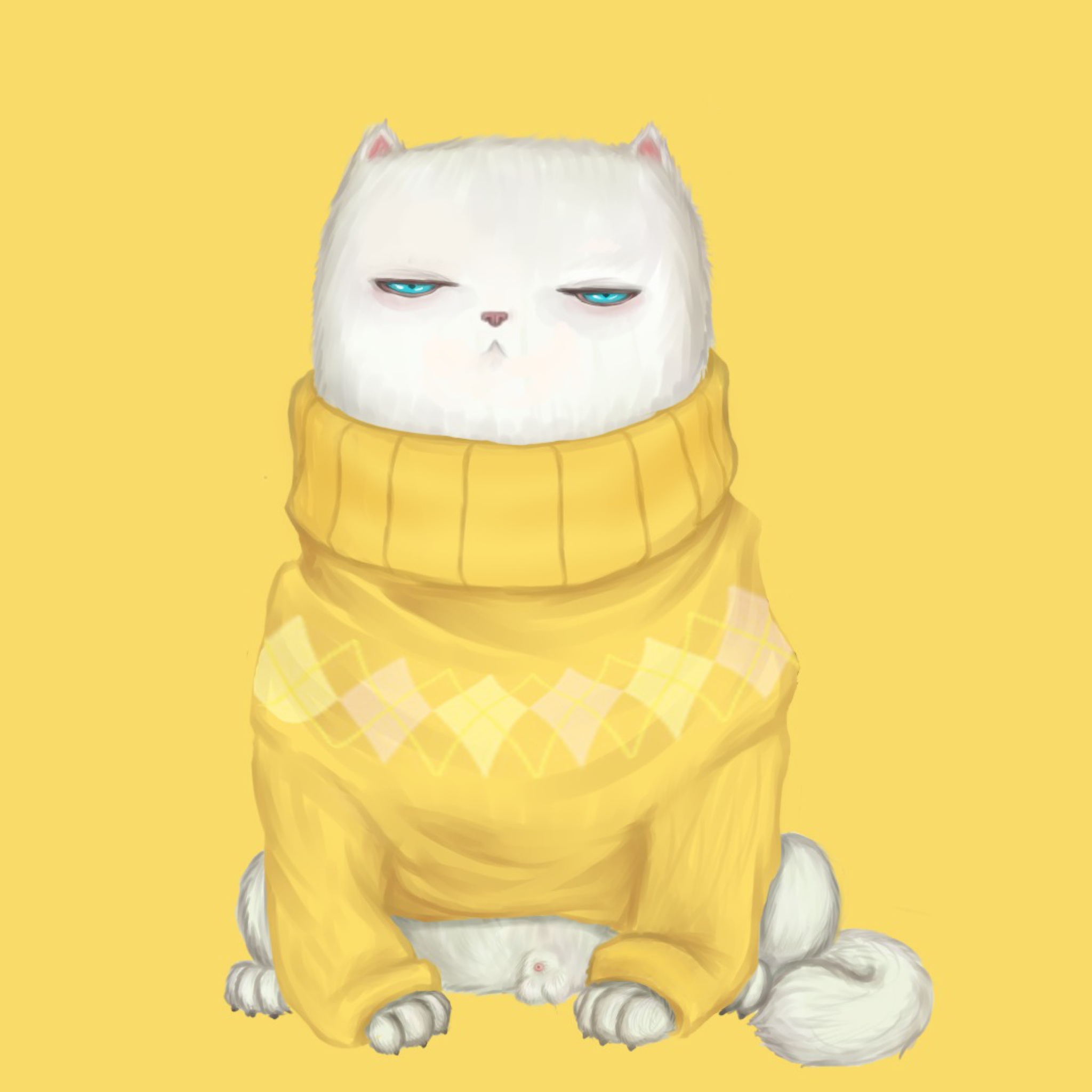 Обои White Cat In Yellow Sweater 2048x2048