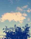 Sunny Sky And Tree screenshot #1 128x160