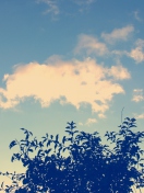 Sunny Sky And Tree screenshot #1 132x176