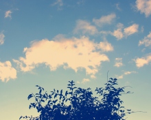 Sunny Sky And Tree screenshot #1 220x176