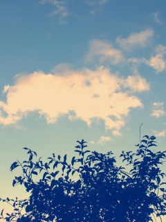 Sunny Sky And Tree screenshot #1 240x320