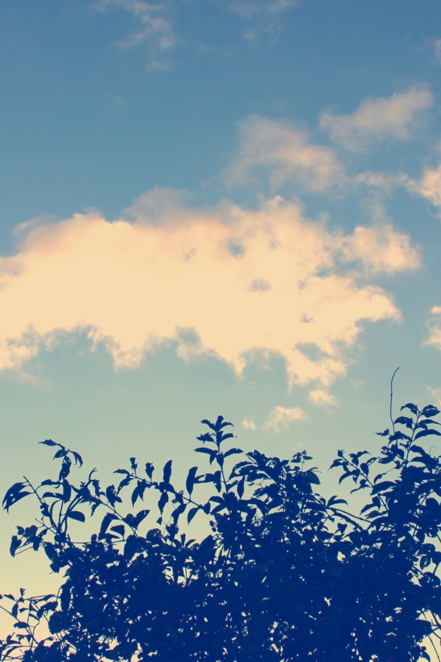 Sunny Sky And Tree screenshot #1 640x960