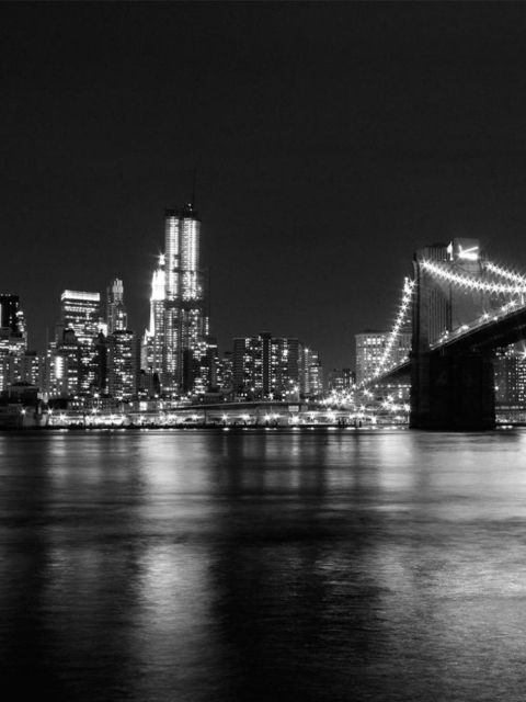 Das New York City Lights Wallpaper 480x640
