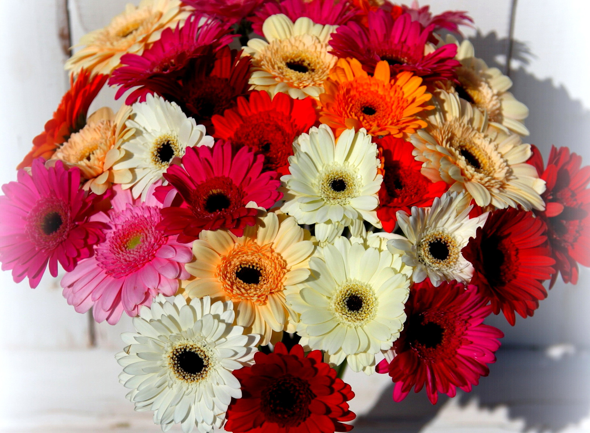 Fondo de pantalla Bouquet of colorful gerberas 1920x1408