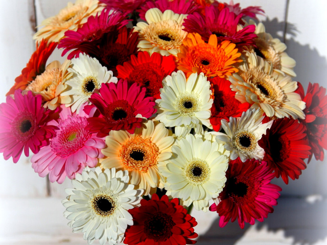 Das Bouquet of colorful gerberas Wallpaper 640x480