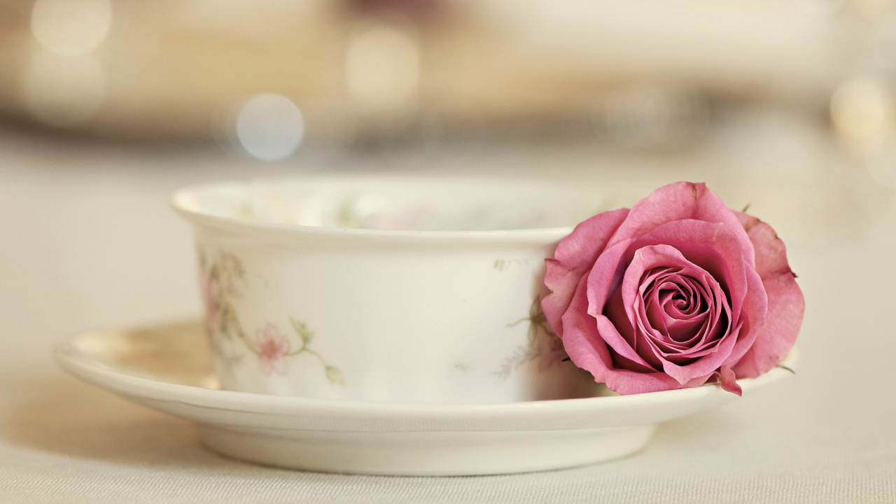 Elegant Rose In Cup screenshot #1 1280x720