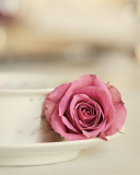 Sfondi Elegant Rose In Cup 128x160