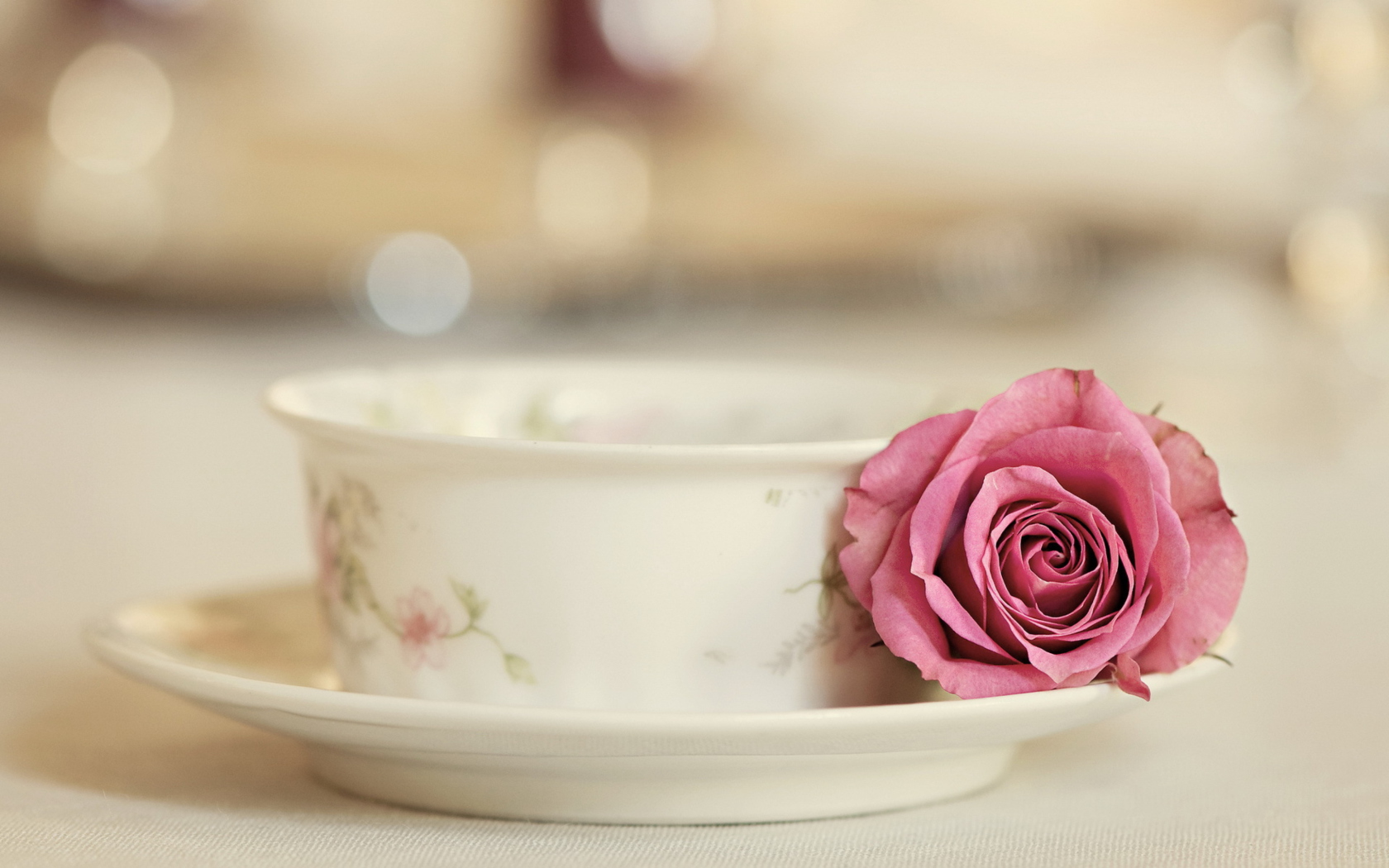 Elegant Rose In Cup screenshot #1 1680x1050
