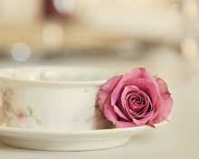 Sfondi Elegant Rose In Cup 220x176