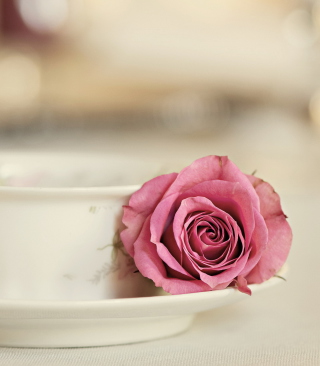Elegant Rose In Cup - Obrázkek zdarma pro iPhone 5S