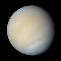 Das Venus Wallpaper 208x208