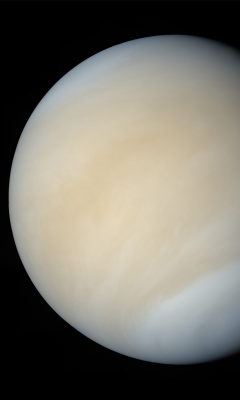 Fondo de pantalla Venus 240x400
