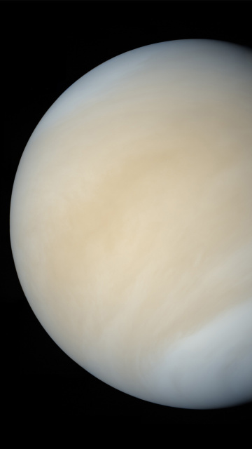 Das Venus Wallpaper 360x640