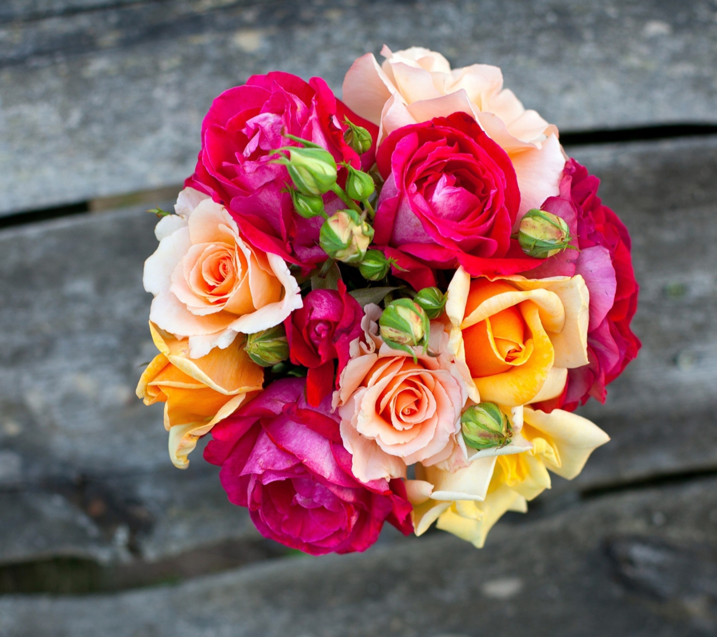 Обои Colorful Roses 1440x1280